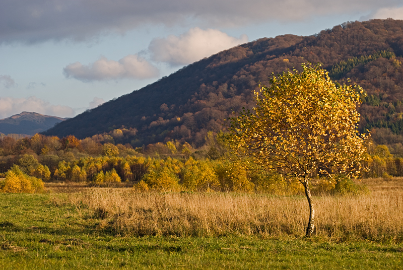 49_Bieszczady_Tarnica.jpg