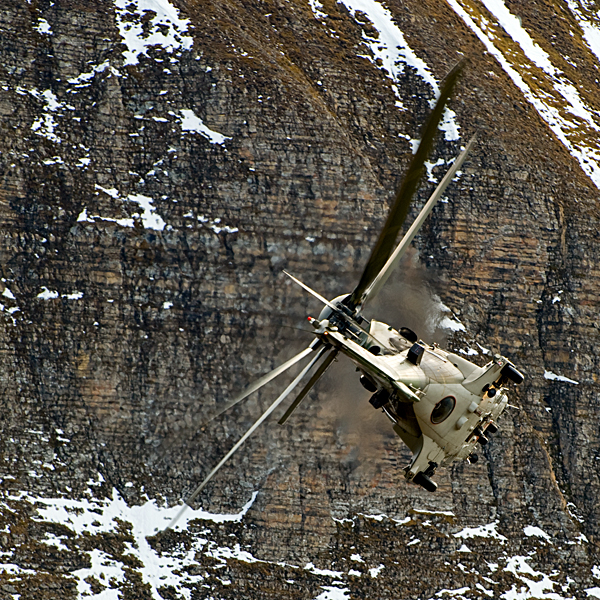071_Axalp_Cougar.jpg