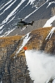 067_Axalp_Cougar