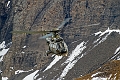 072_Axalp_Cougar