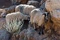 049_Kreta_Balos