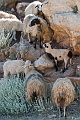 050_Kreta_Balos