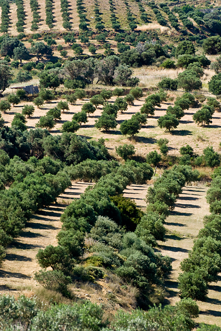 066_Kreta.jpg