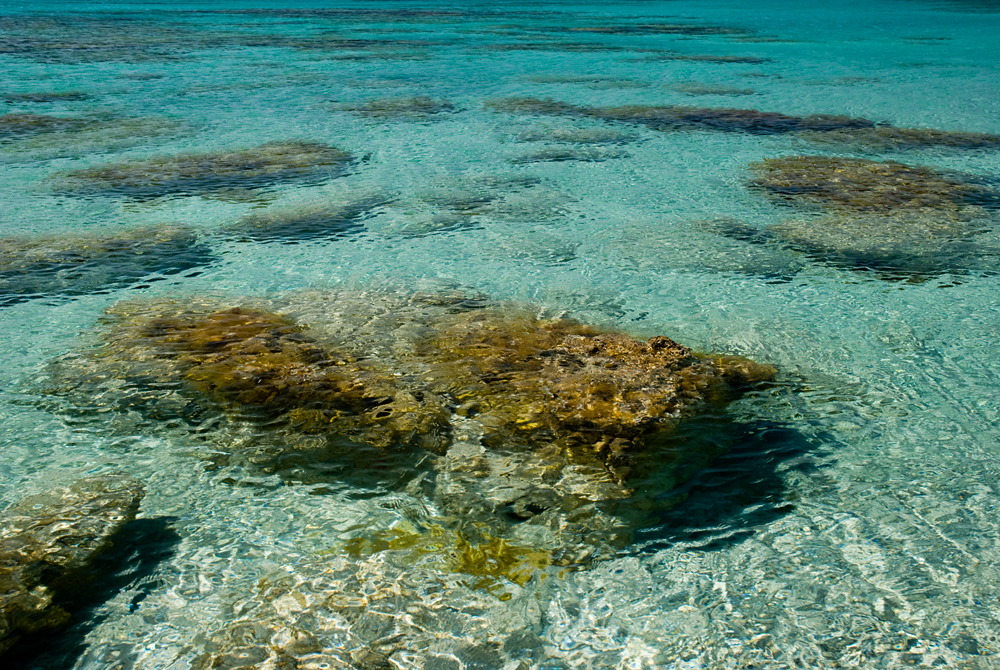130_Kreta_Elafonisi.jpg