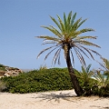 217_Kreta_Vai
