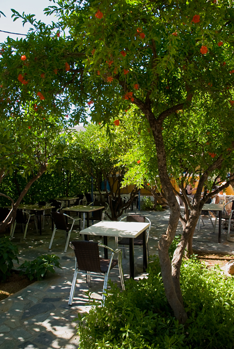 305_Kreta_Kritsa.jpg