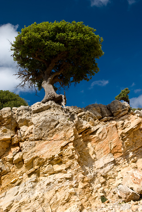 350_Kreta_Katharo.jpg