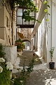 324_Kreta_Kritsa