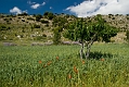 343_Kreta_Katharo