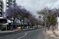 009_Madera_Funchal