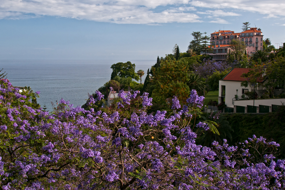 775_Madera_Funchal.jpg