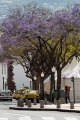 717_Madera_Funchal
