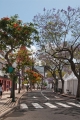 718_Madera_Funchal