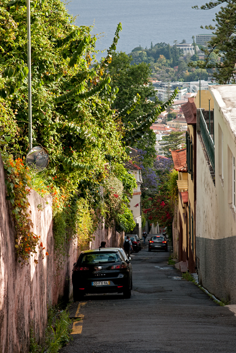 307_Madera_Funchal.jpg