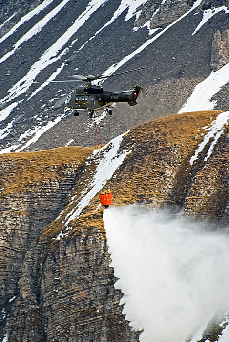 067_Axalp_Cougar.jpg