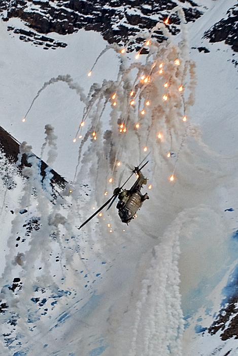070_Axalp_Cougar.jpg